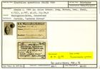 Karteikarte zum Holotyp von Glandulina symmetrica Stache, 1864
